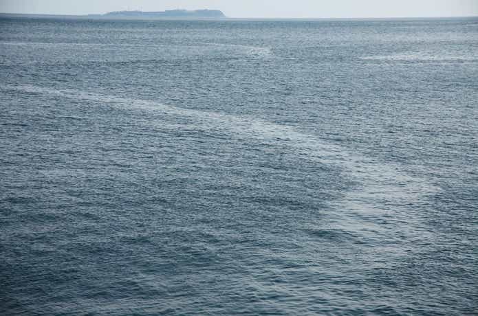 海釣りの画像