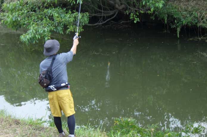 ビッグベイトロッドの長さ