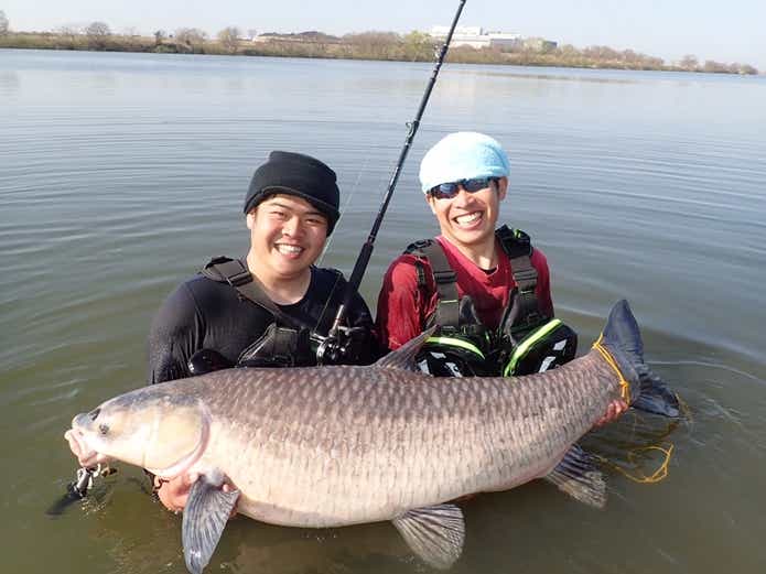 2メートルを超える怪物『アオウオ』vs怪魚ハンター兄弟！国内最大の淡水魚に挑んできました | TSURI HACK[釣りハック]