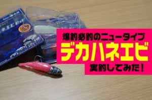 デカハネエビ
