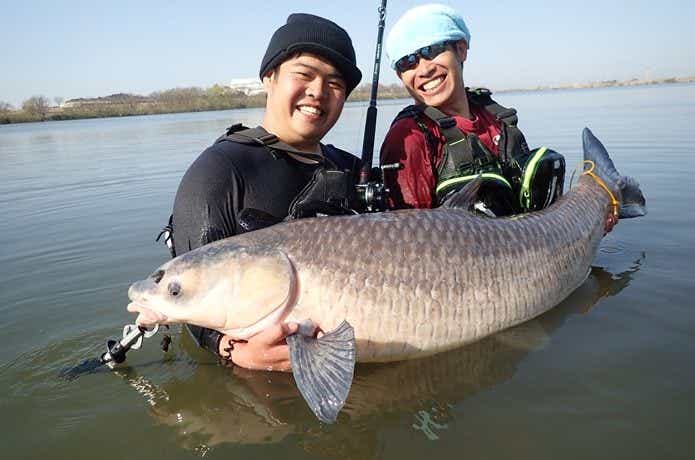 2メートルを超える怪物『アオウオ』vs怪魚ハンター兄弟！国内最大の淡水魚に挑んできました | TSURI HACK[釣りハック]