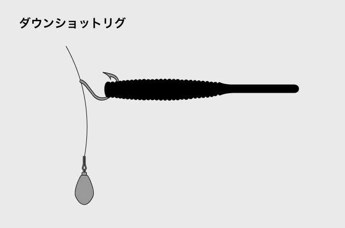 ダウンショットリグ