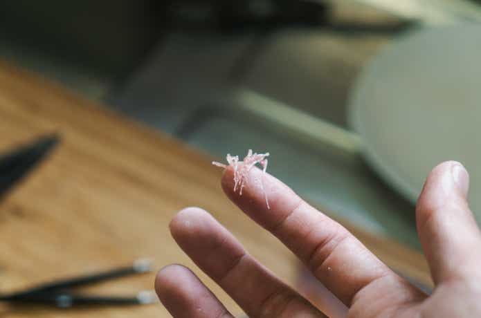アジの骨