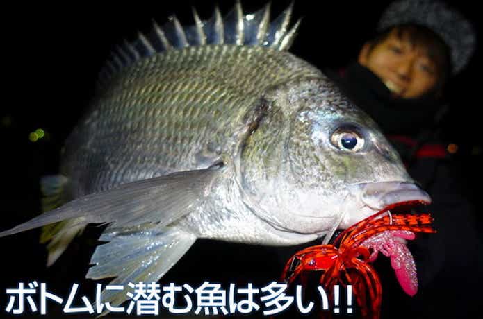 ノンスタックジグSWで釣れたチヌ