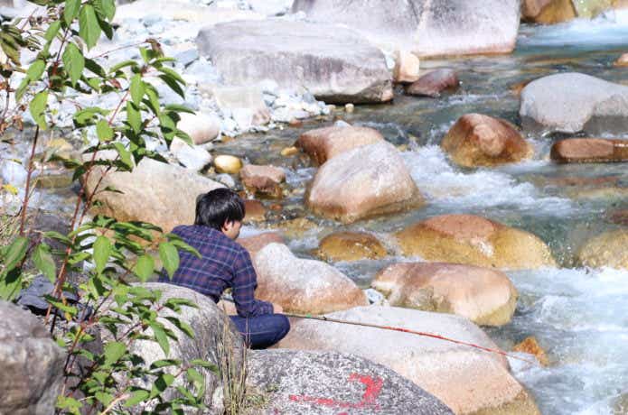 ブヨに遭遇する可能性が高いフィールド