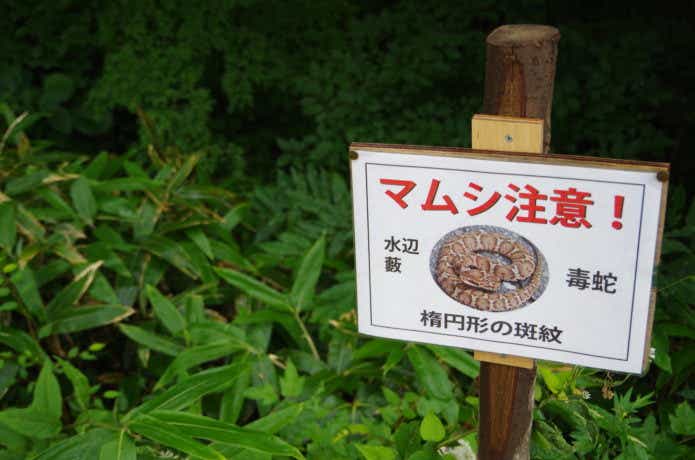 マムシ注意