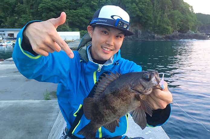 アナハゼティのりゅう