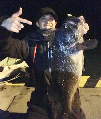 デコイのマジックヘッドで釣ったクロソイ