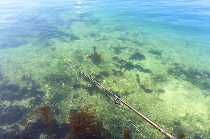 気仙沼の海