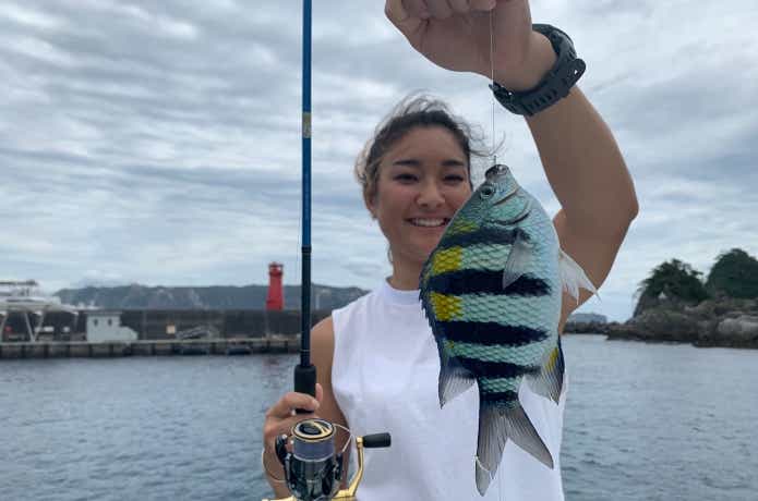 サビキ釣りの画像