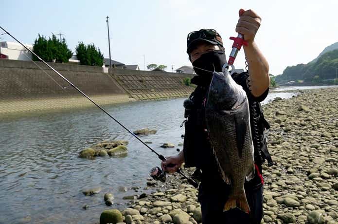 トップで釣れたチヌ