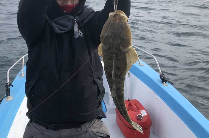 レッドマックス船3で釣ったマゴチ