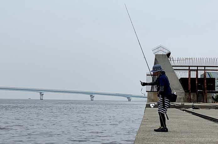 釣りの画像