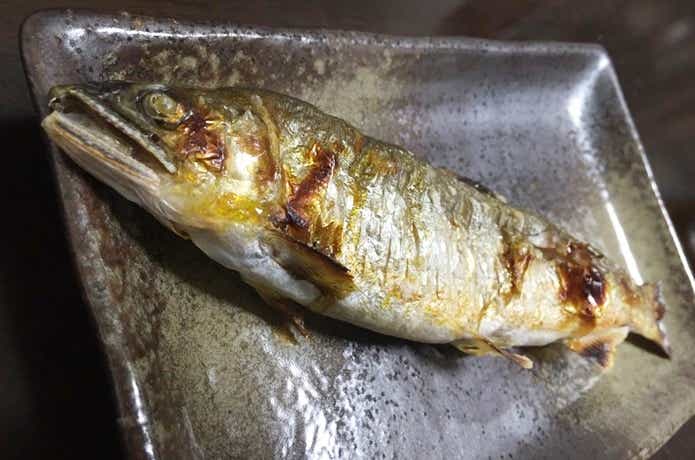 鮎の画像