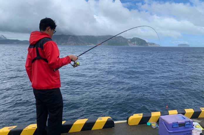 サビキ釣りの画像
