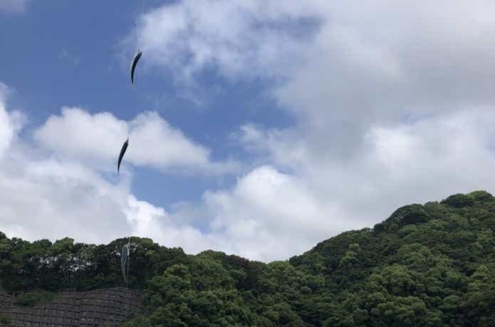 サビキ釣りの時期