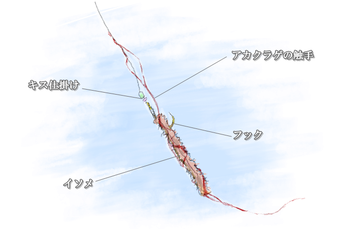アカクラゲがついた仕掛け