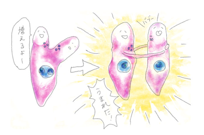 赤潮の仕組み