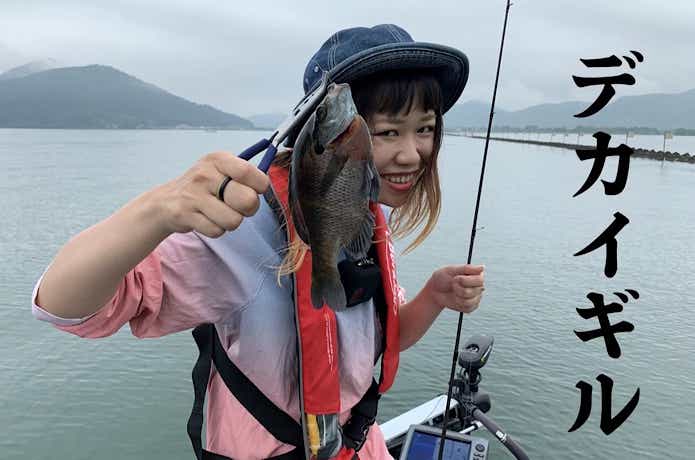 琵琶湖のでかギル
