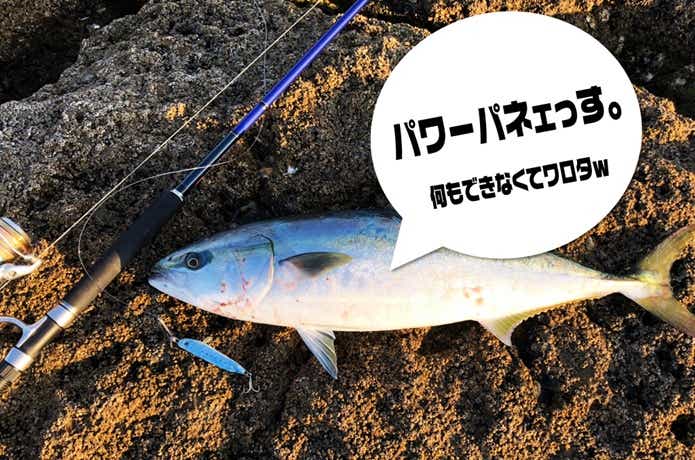 ソルパラの画像