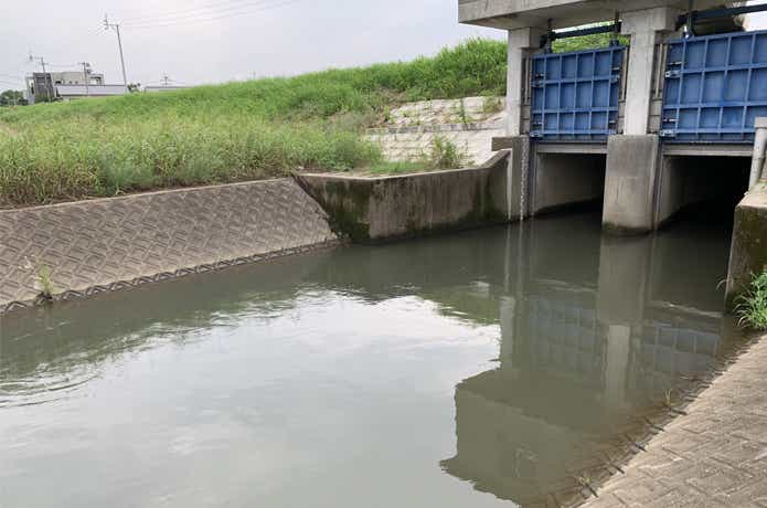 川バスの画像