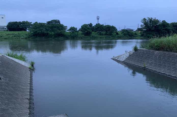川バスの画像