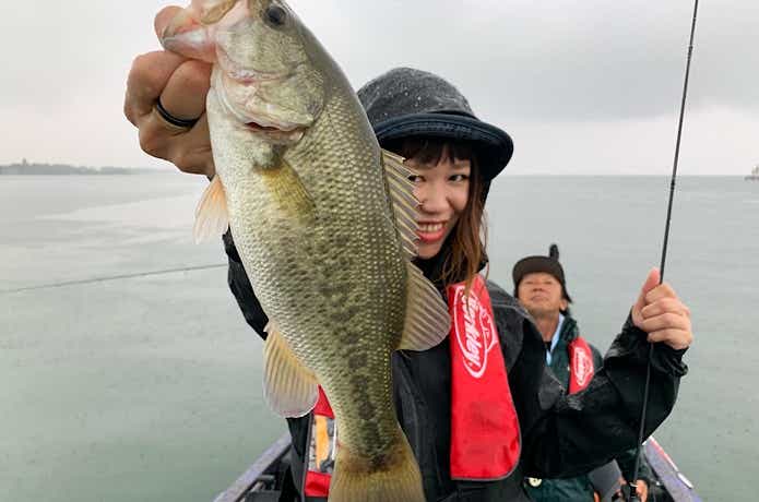 バス釣りガイド