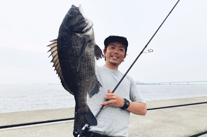 クロダイの画像