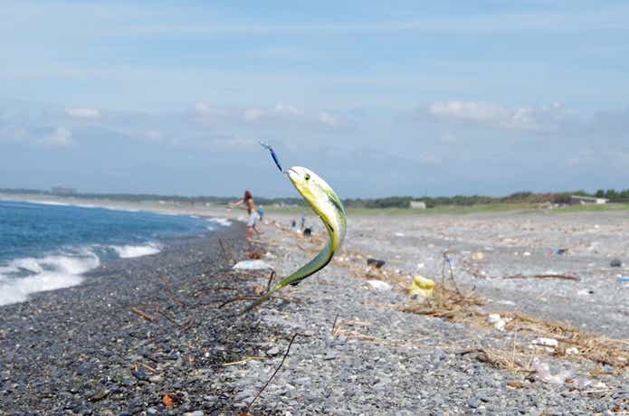 ルアー釣りの画像