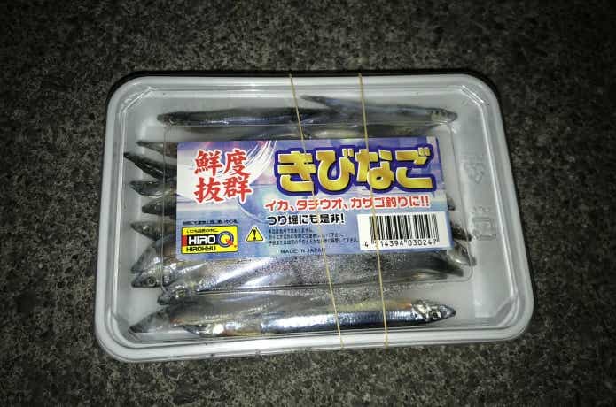 キビナゴ