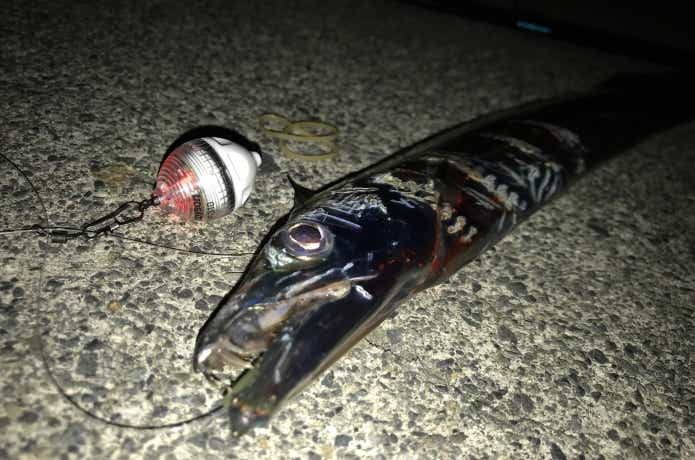 かっ飛びボールの釣果
