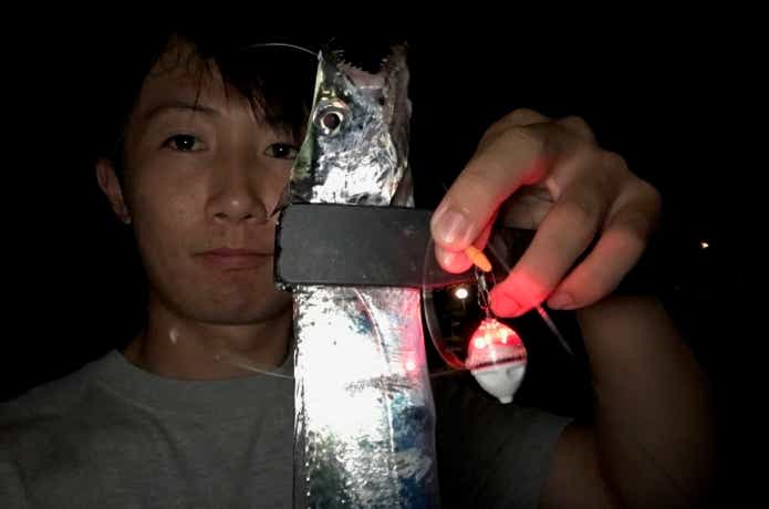 かっ飛びボールとタチウオの画像