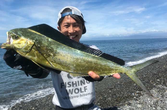 青物ポッパーの画像
