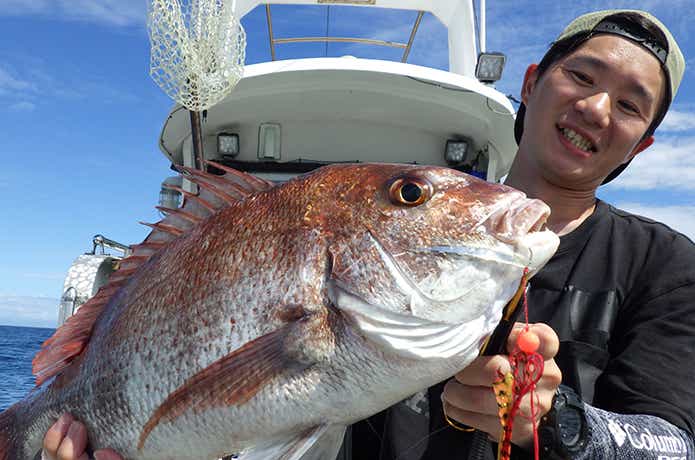マダイ釣果