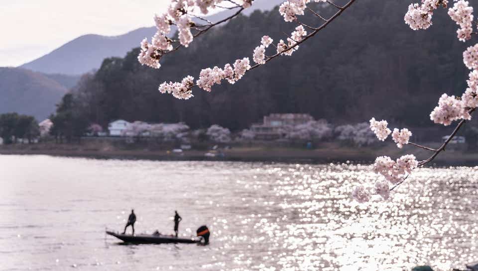 春のバス釣り
