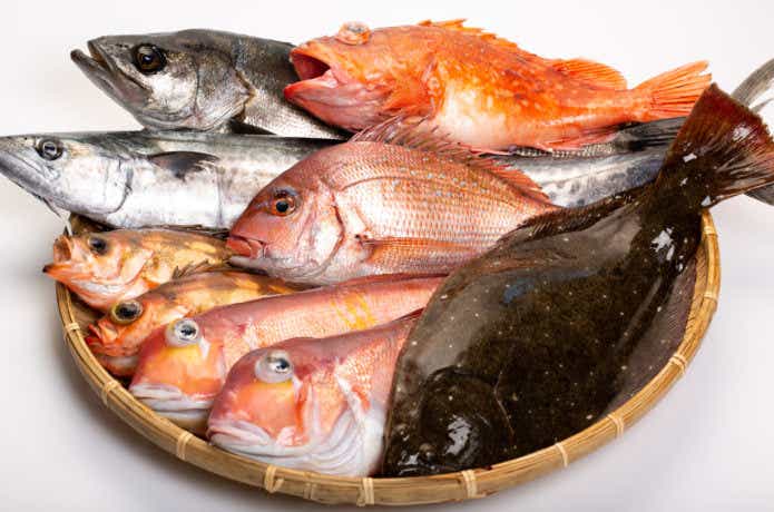 魚介類