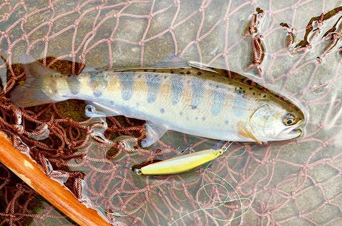 渓流釣りに行ってみよう！私が完全にハマったこの釣りの魅力