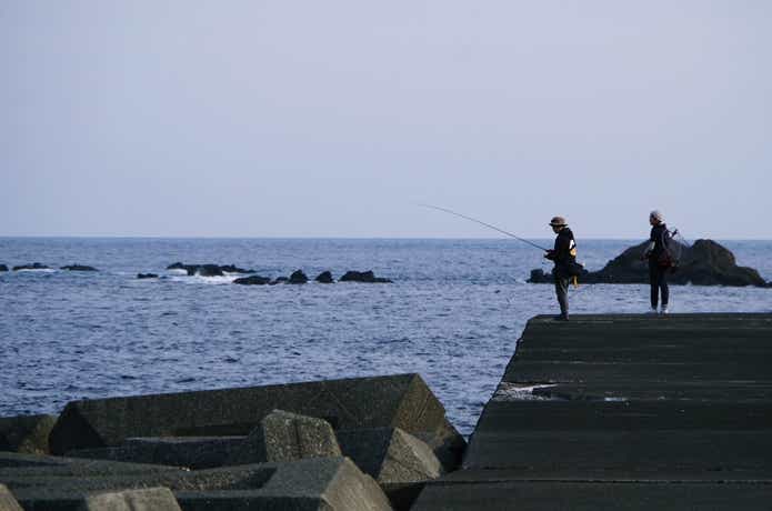 釣りの画像