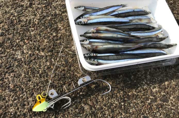 太刀魚ゲッターの画像
