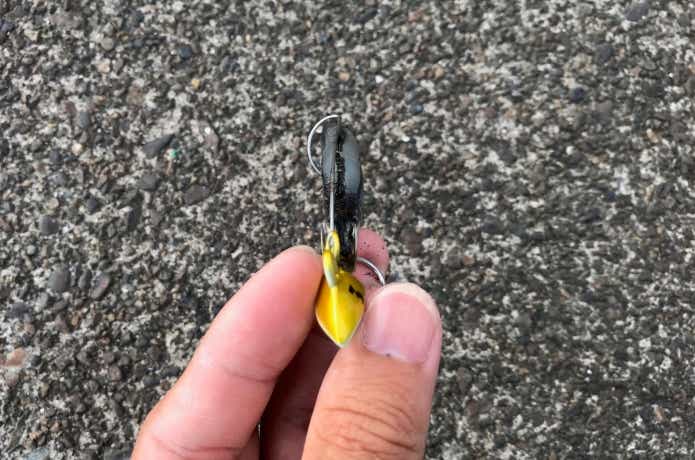 太刀魚ゲッターの画像