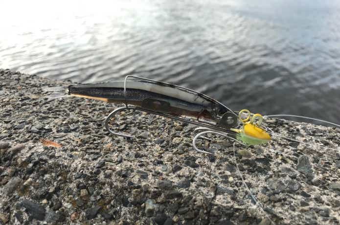 太刀魚ゲッターの画像