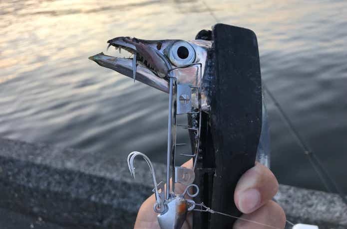 太刀魚ゲッターの画像