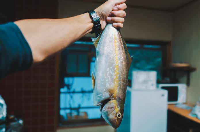 シオ　ショゴ　釣り