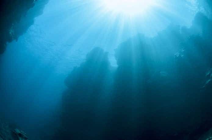 アカムツのポイント