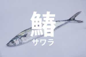 サワラ