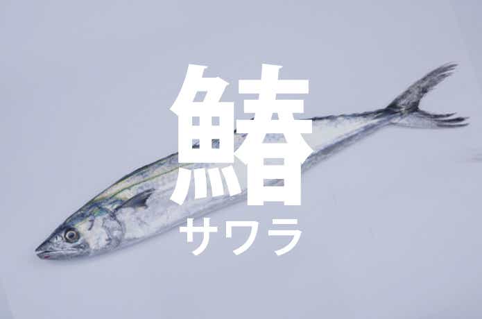 サワラ
