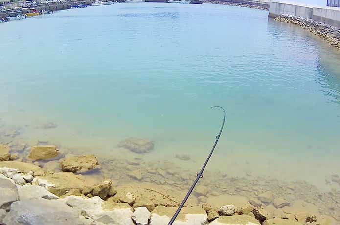 メッキ釣りの魅力
