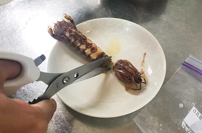 料理