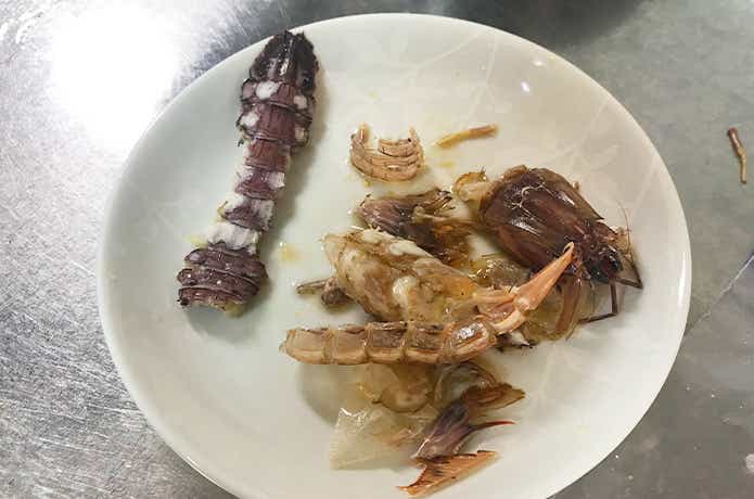 料理