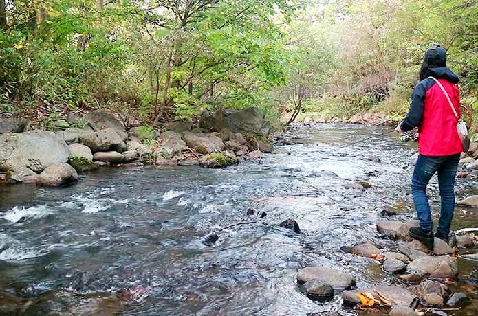 北海道の渓流釣り